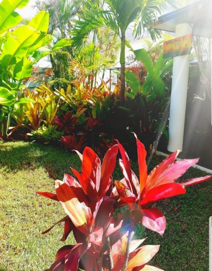 Accommodatie bij particulieren La Selvita Bajamar (La Laguna)