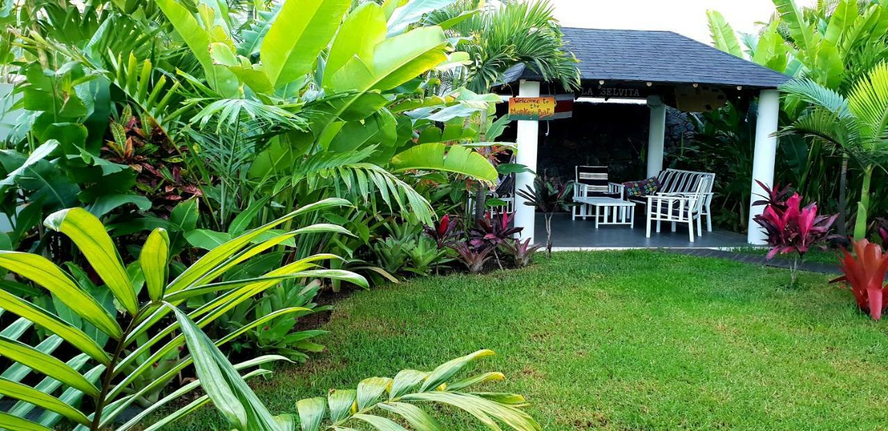 La Selvita Accommodatie bij particulieren Bajamar (La Laguna)